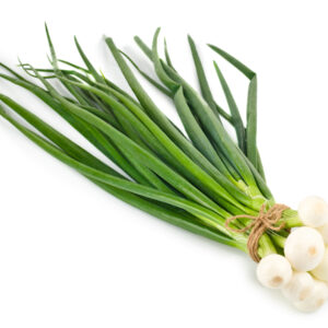 זרעים - בצל ירוק