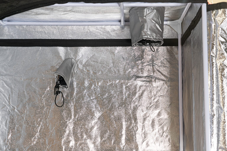 מבט פנימי באוהל גידול Better Tent פתוח