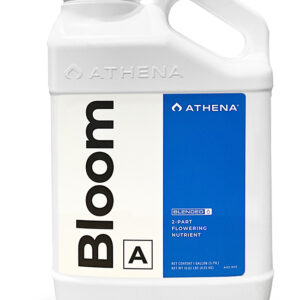 ATHENA Blended Line Bloom A 3.8L