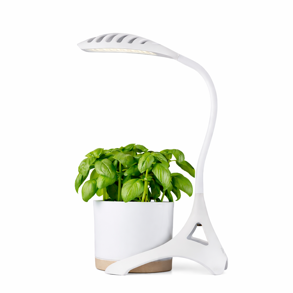 ILLOO LIGHT GROW PLANTS