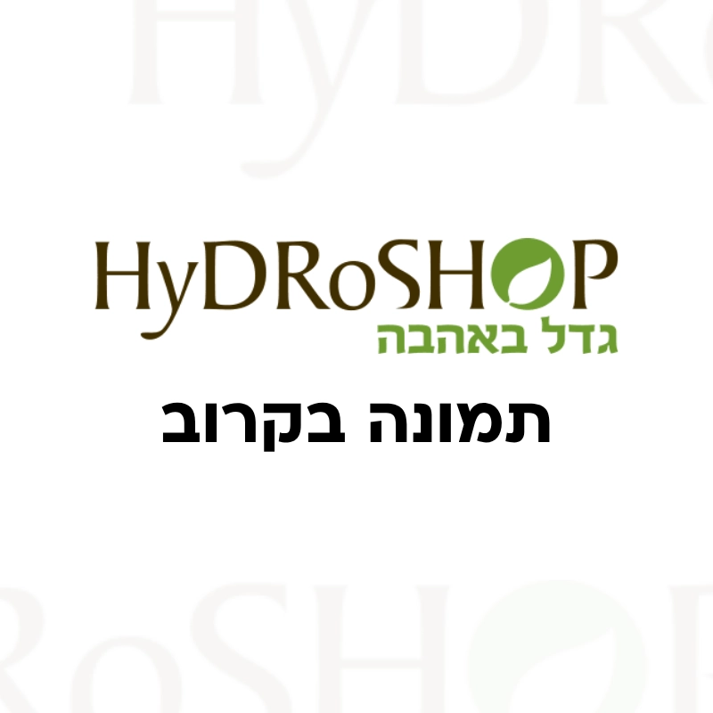 ממלא מקום