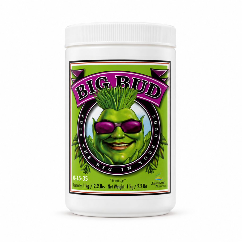 Big Bud Powder