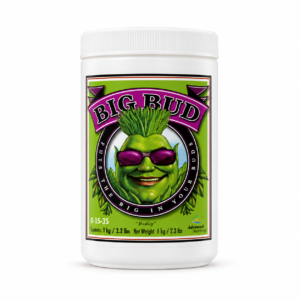 Big Bud Powder