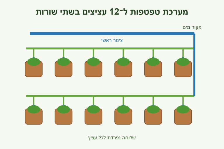 תכנון מערכת טפטפות ל־12 עציצים בשתי שורות