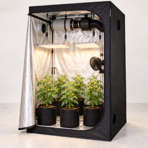 ערכת גידול מלאה בינונית 100×100×200 מורכבת עם תאורה, אוורור וצמחי עגבניות