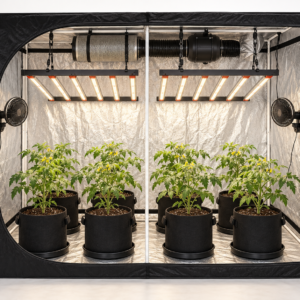 ערכת גידול מלאה מקצועית 240×120×200 מורכבת עם תאורה, אוורור וצמחי עגבניות