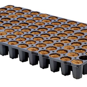מגש Eazy Plug CT104CR עם 104 יחידות מצע עגולות