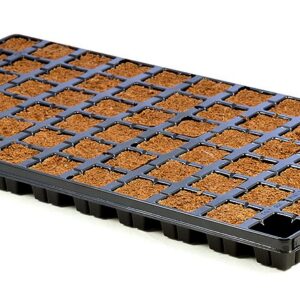 מגש Eazy Plug CT66 עם 66 יחידות מצע להנבטה ולהשרשה