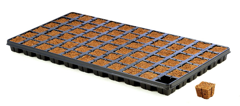 מגש Eazy Plug CT66 עם 66 יחידות מצע להנבטה ולהשרשה