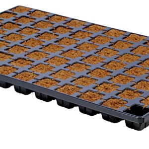 מגש Eazy Plug CT77 עם 77 יחידות מצע להנבטה ולהשרשה