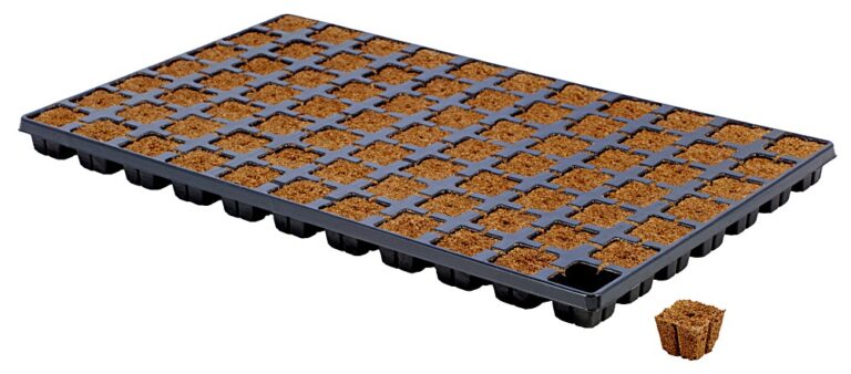 מגש Eazy Plug CT77 עם 77 יחידות מצע להנבטה ולהשרשה